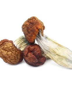 Blue Pulaski Magic Mushrooms | Rare Psilocybe Strain | Trippy Mushroom