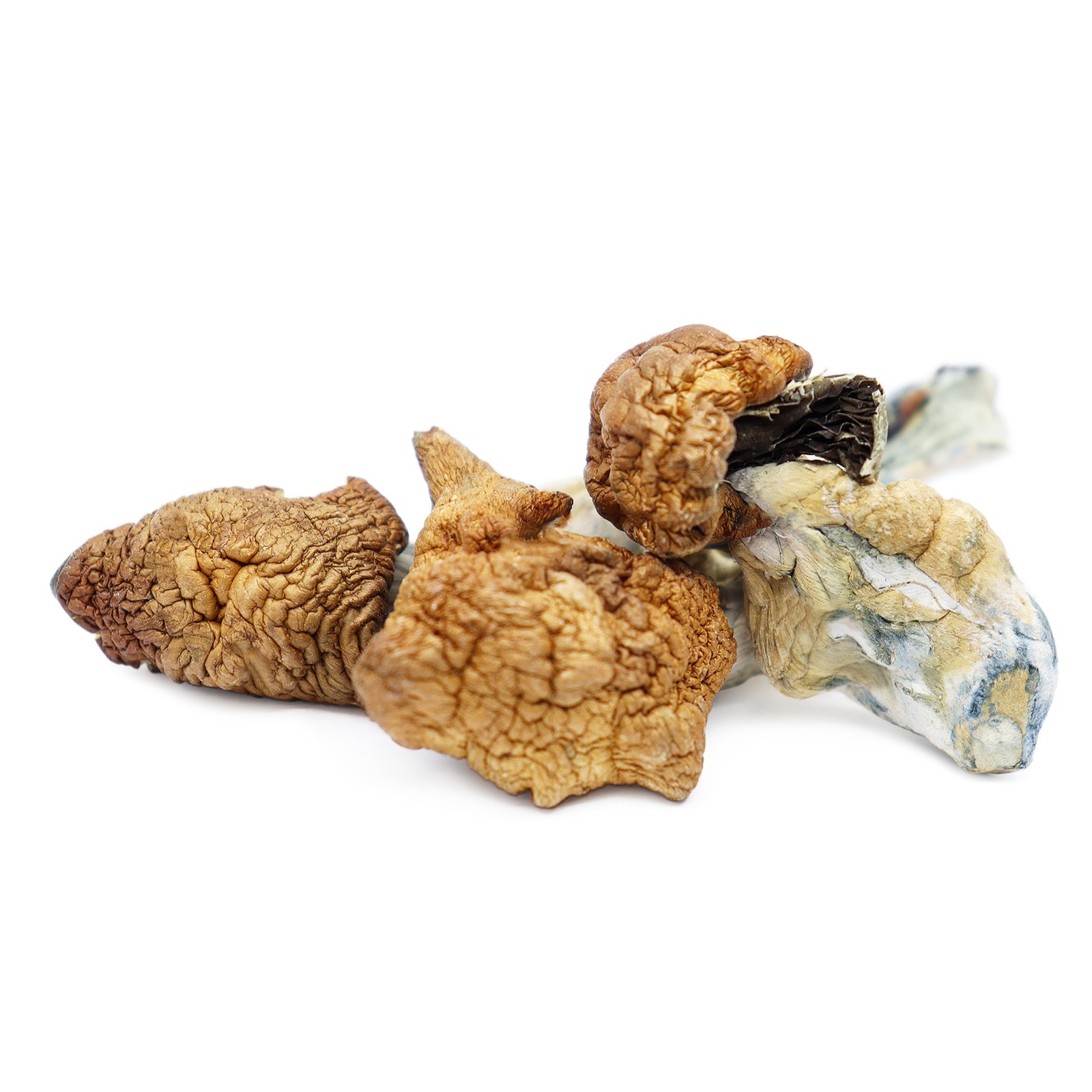 Koh Samui Magic Mushrooms | Thai Cubensis Strain | Trippy Mushroom