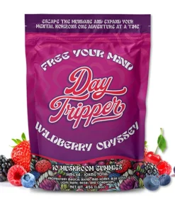 Wildberry Odyssey Mushroom Gummies | DayTripper | Trippy Mushroom